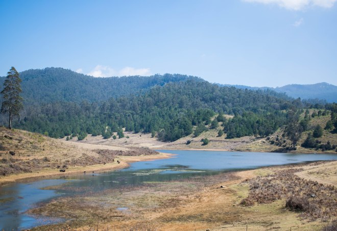 Mannavanur lake