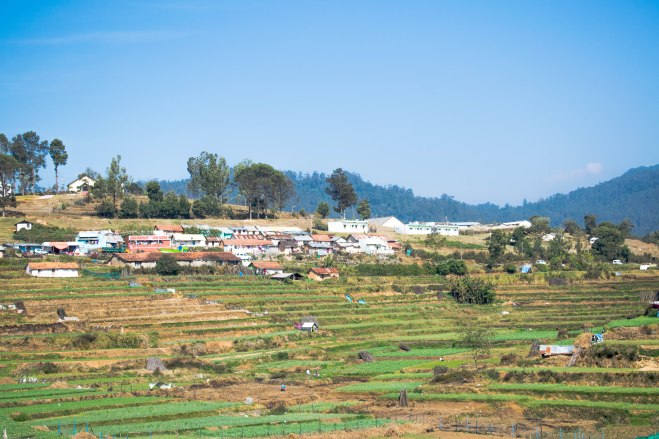 Mannavanur village